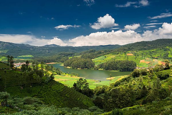 Tea plantations around the Emerald Lake in Ooty. Beautiful clouds formed over the Emerald Lake. Ooty or Ootacamund (Udamandalam) is a popular hill station in Tamil Nadu.